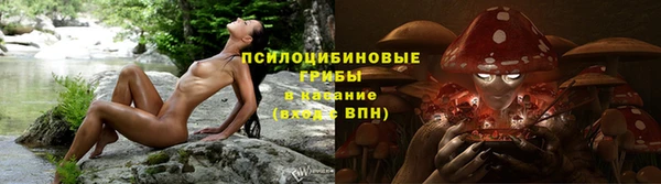 стафф Балахна