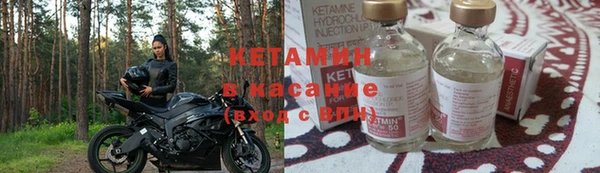 шишки Балабаново