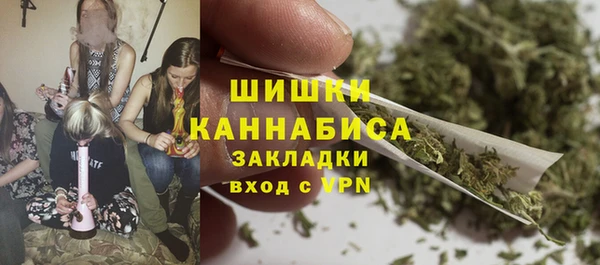шишки Балабаново