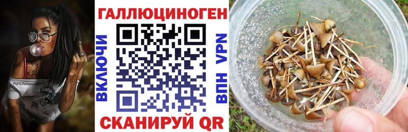Псилоцибиновые грибы мицелий  где купить наркоту  Ленск 